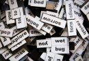 The Pursuit of Meaning